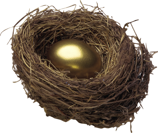 Transparent Nest Bird Nest Egg for Easter