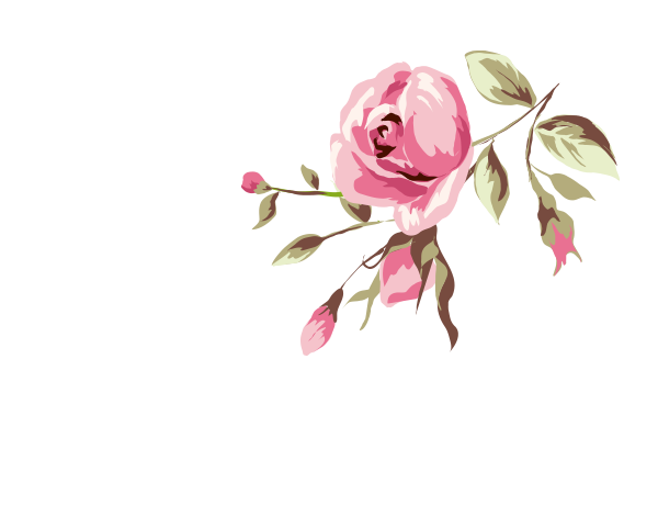 Transparent Rose Animation Drawing Pink Plant for Valentines Day