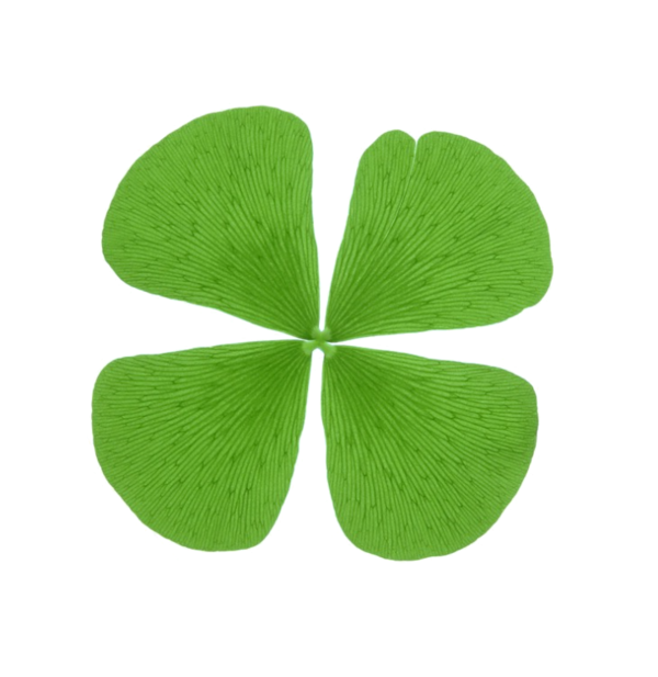 Transparent Creativity Clover Shamrock Leaf Petal for St Patricks Day