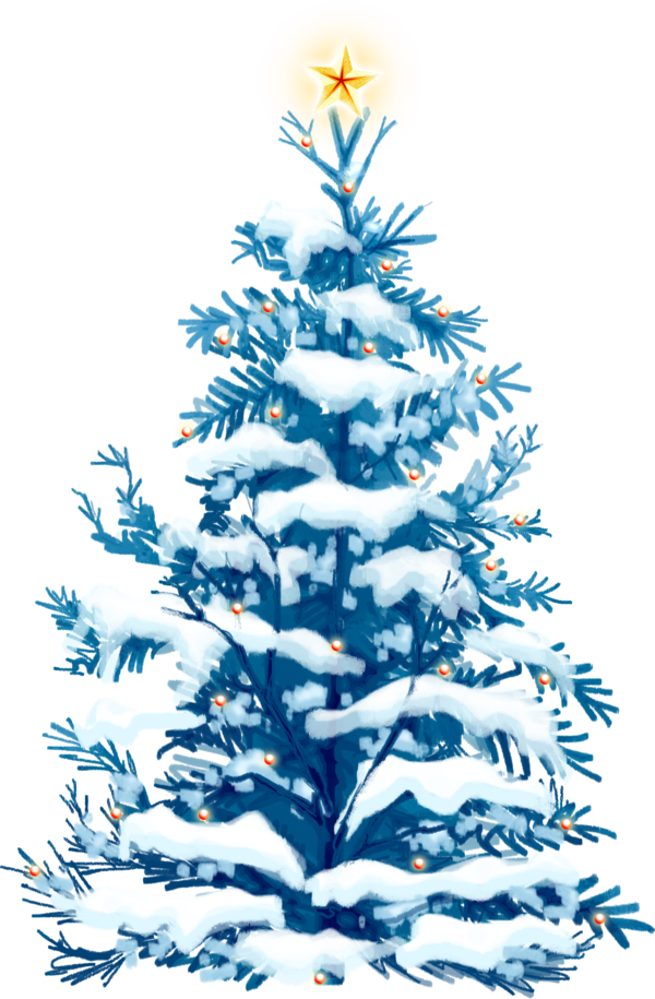 Transparent Christmas Ornament Christmas Decoration Spruce Fir Pine Family for Christmas