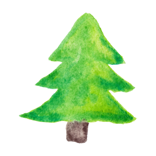 Transparent Christmas Tree Watercolor Painting Christmas Fir Pine Family for Christmas