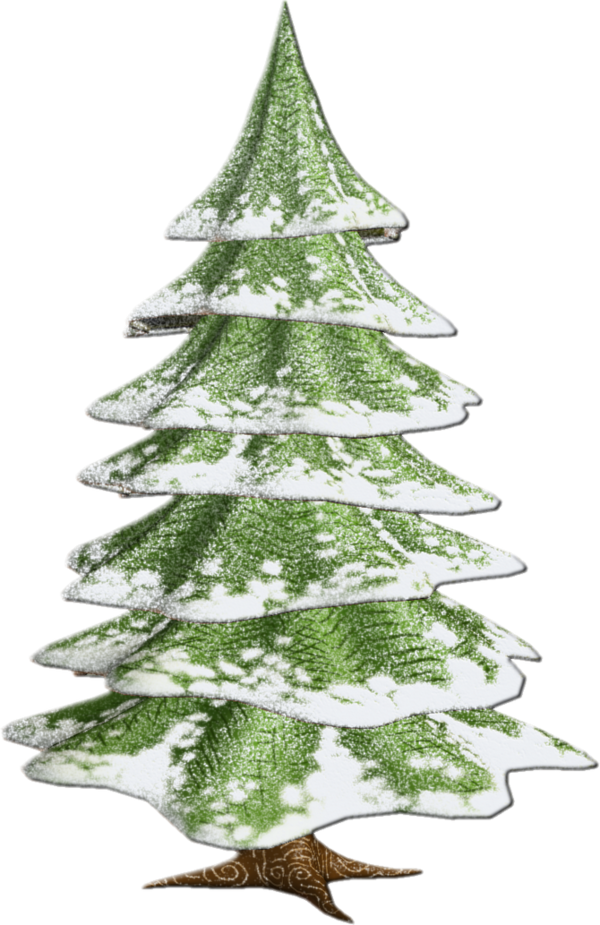 Transparent Spruce Tree Fir Pine Family for Christmas