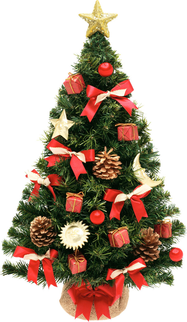 Transparent New Year Tree Artificial Christmas Tree Christmas Fir Pine Family for Christmas