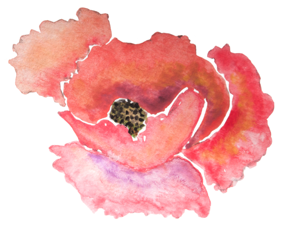 Transparent Paper Poppy Watercolor Painting Watercolor Paint Flower for Valentines Day