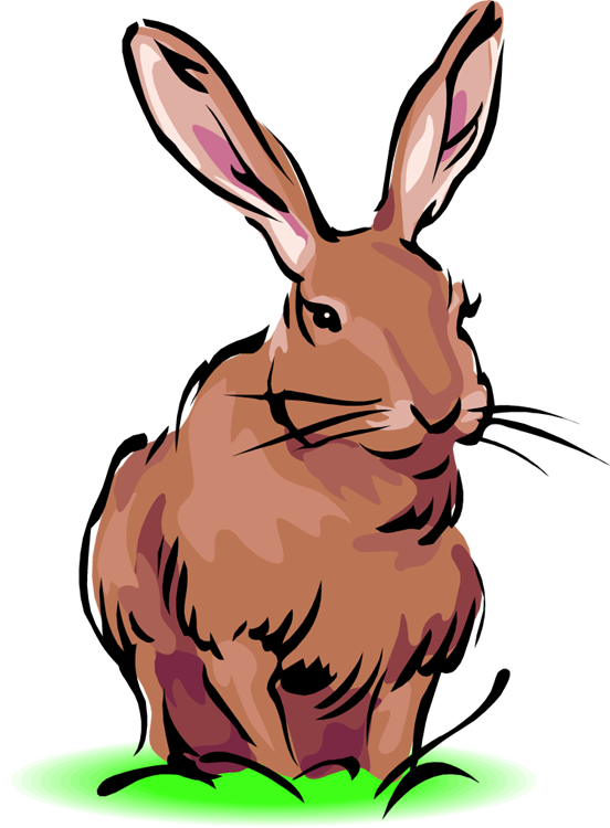 Transparent Easter Bunny Rabbit Blacktailed Jackrabbit Wildlife Hare for Easter