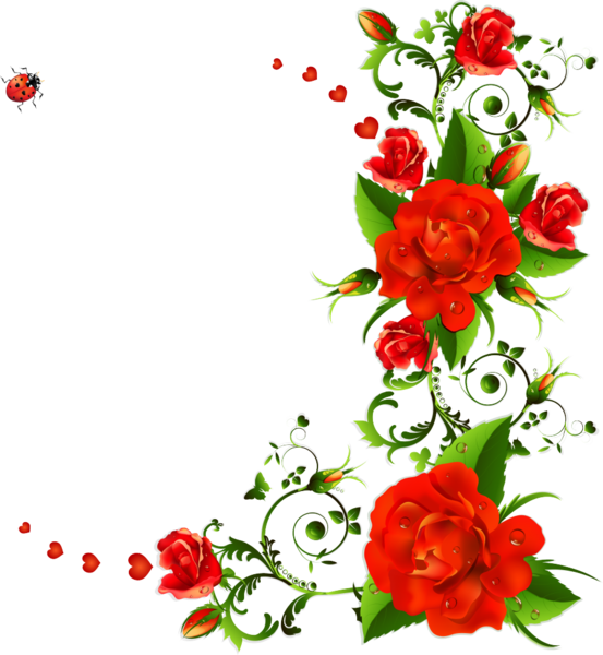 Transparent Flower Rose Drawing Red for Valentines Day