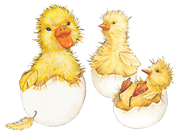 Transparent Paper Easter Chicken Yellow for Easter