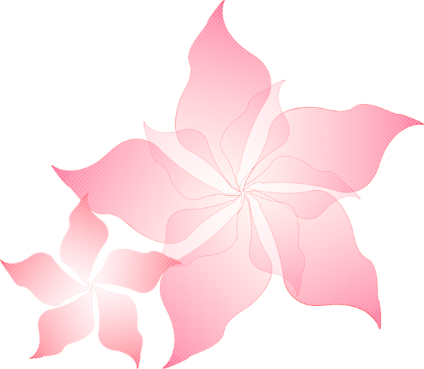 Transparent Flower Floral Design Pink Flowers Pink Petal for Valentines Day