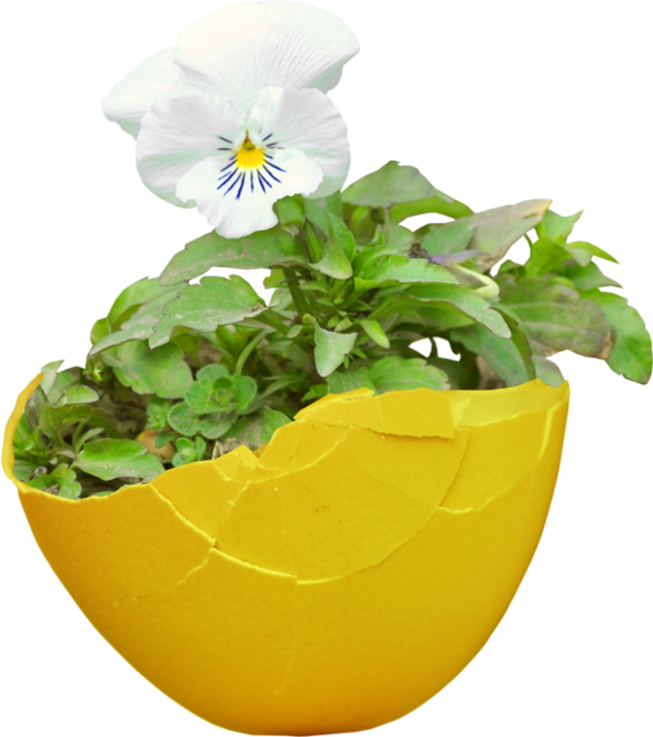 Transparent Flower Tulip Flowerpot Plant for Easter