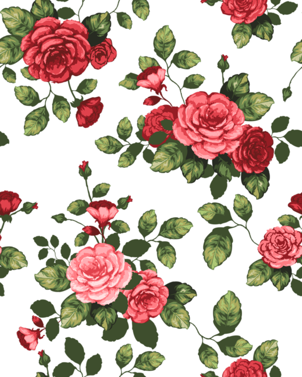 Transparent Drawing Flower Flower Designs Garden Roses for Valentines Day