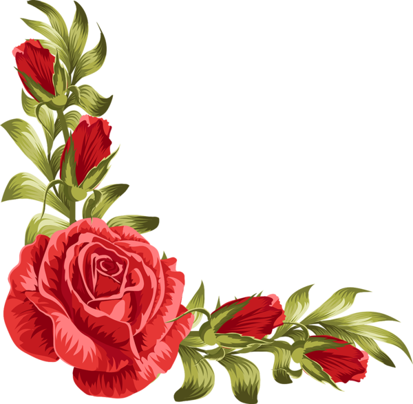 Transparent Wedding Invitation Rose Flower Petal Plant for Valentines Day