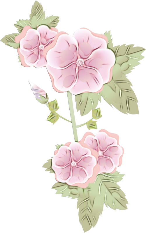 Transparent Pink Flowers Flower Floral Design Pink for Valentines Day