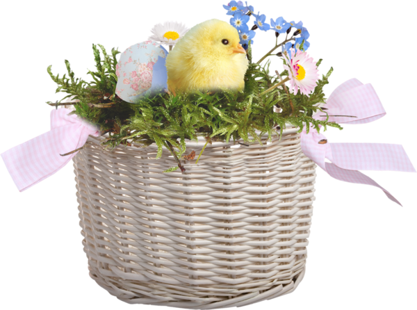 Transparent Chicken Basket Carte Danniversaire Storage Basket for Easter