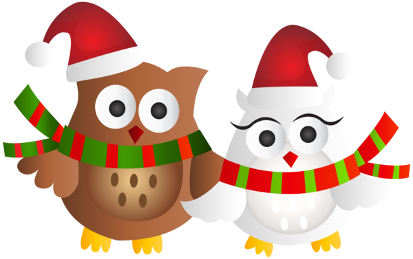 Transparent Owl Christmas Rudolph Christmas Ornament for Christmas
