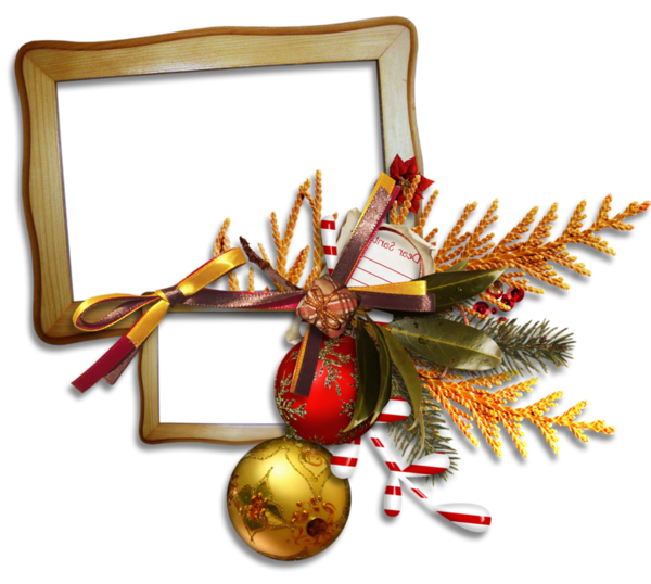 Transparent Christmas Ornament Christmas Day Insect Christmas Decoration for Christmas