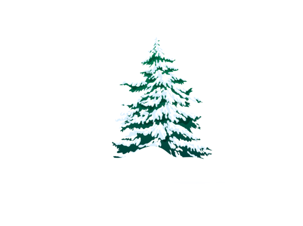 Transparent Christmas Tree Santa Claus Christmas Fir Pine Family for Christmas