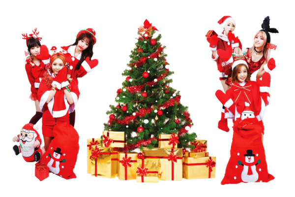 Transparent Kpop Tara Christmas Fir Christmas Decoration for Christmas