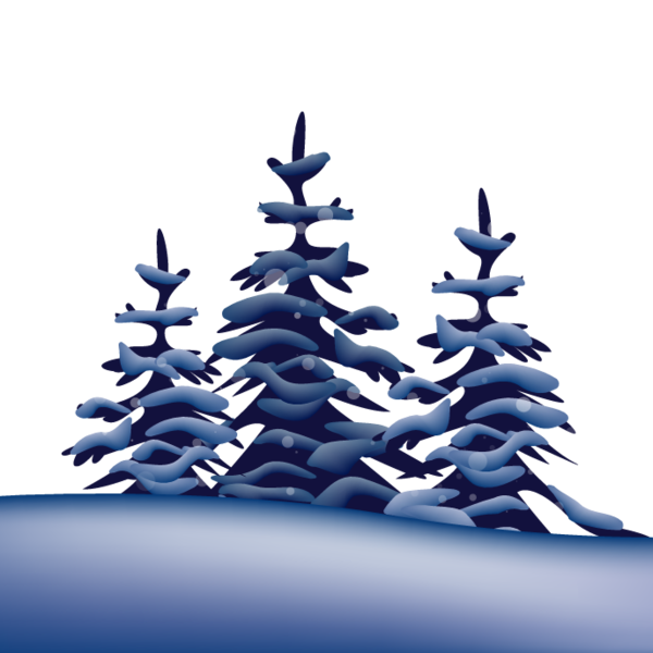 Transparent Winter Snow Tree Blue Pine Family for Christmas