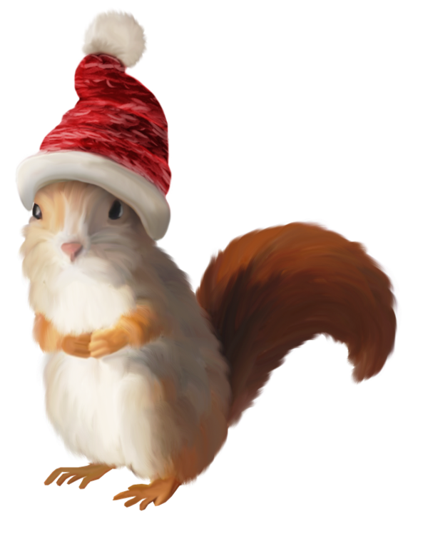 Transparent Squirrel Santa Claus Christmas Beak for Christmas