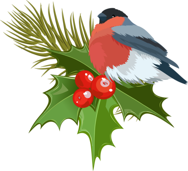 Transparent Christmas Tree Christmas Ornament Christmas Bird Beak for Christmas