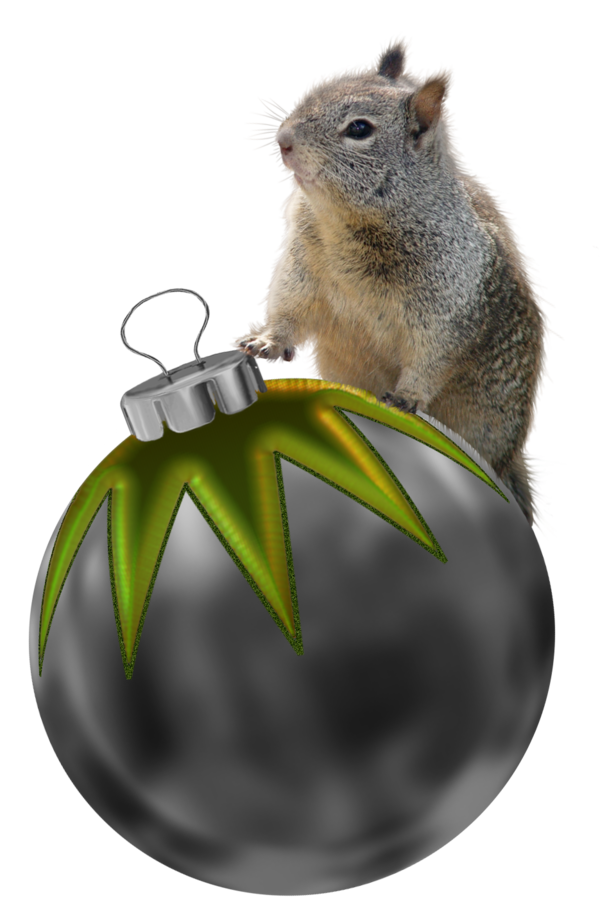 Transparent Squirrel Christmas Christmas Decoration Snout for Christmas