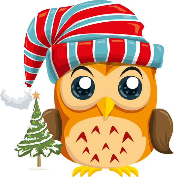 Transparent Santa Claus New Year Christmas Day Owl Christmas Ornament for Christmas