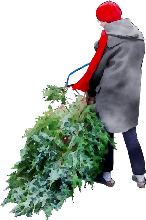 Transparent Christmas Tree Fir Christmas Day Plant Gardener for Christmas