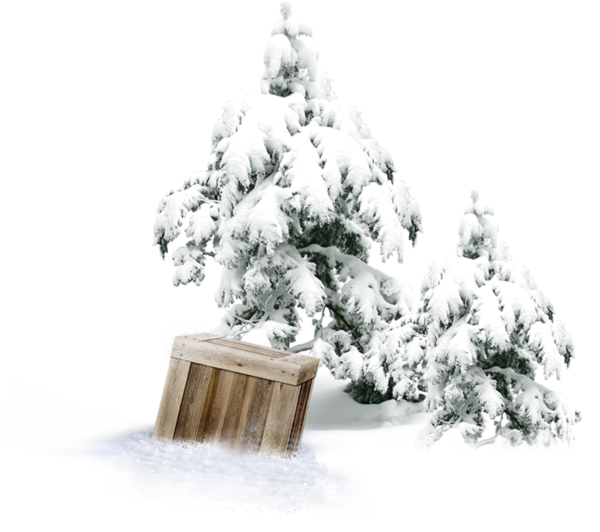 Transparent Winter Snow Tree Fir Pine Family for Christmas