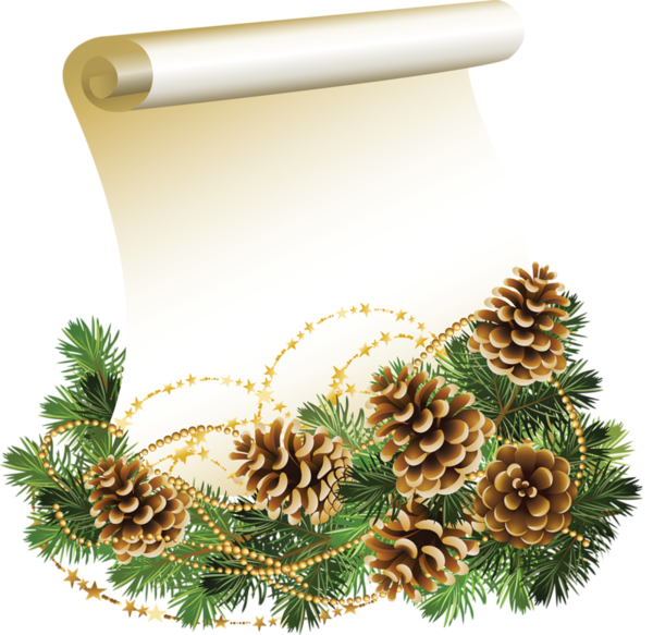 Transparent Christmas Paper Parchment Fir Pine Family for Christmas