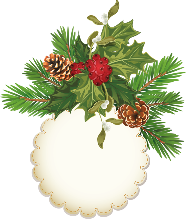 Transparent Christmas Gift Christmas Tree Evergreen Pine Family for Christmas