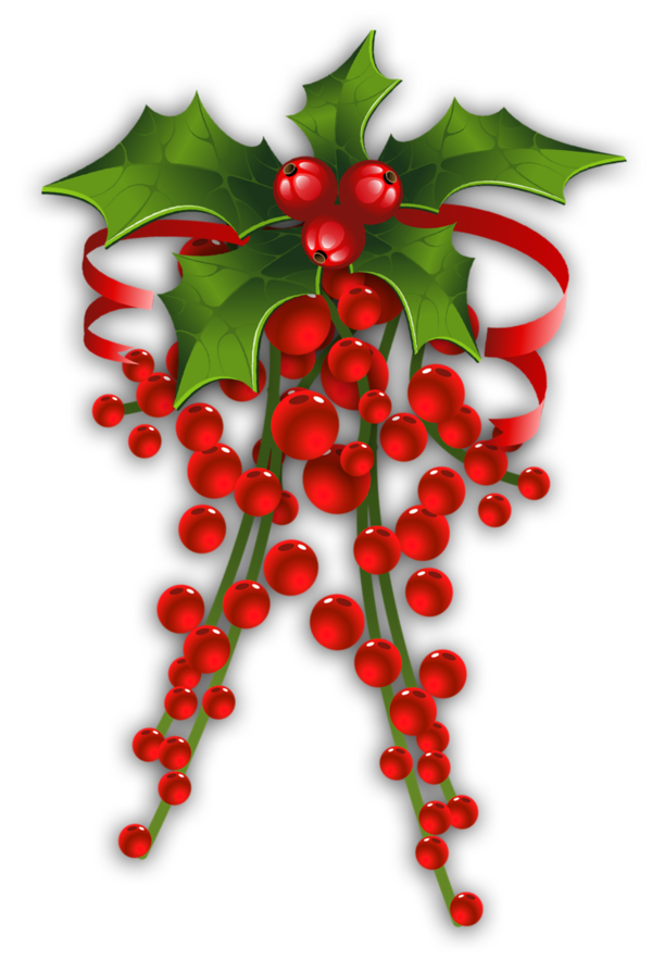 Transparent Mistletoe Candy Cane Christmas Plant Food for Christmas