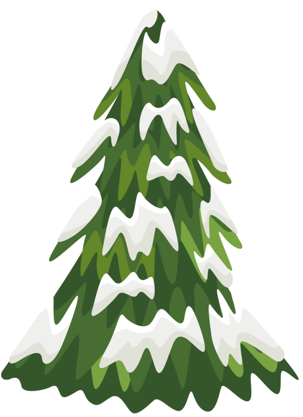 Transparent Tree Pine Snow Fir Pine Family for Christmas