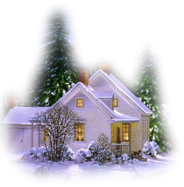 Transparent Christmas Web Browser Fir Pine Family for Christmas
