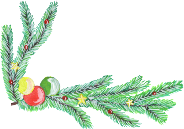 Transparent Christmas Christmas Decoration Branch Fir Pine Family for Christmas