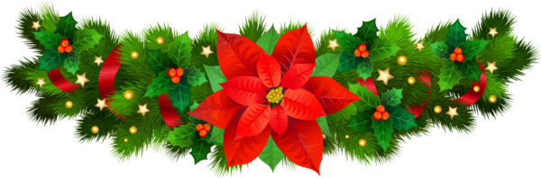 Transparent Borders And Frames Poinsettia Christmas Fir Evergreen for Christmas