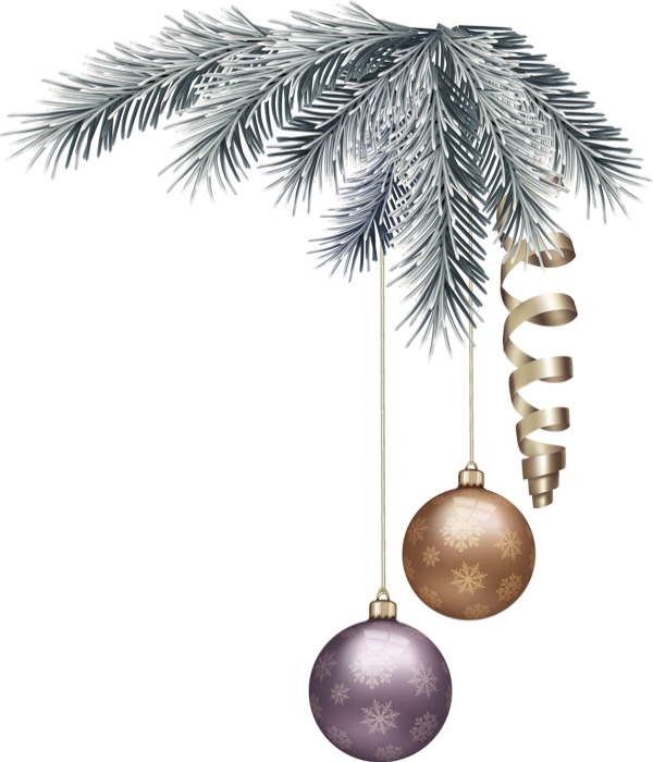 Transparent Fir Christmas Decoration Arecaceae Pine Family for Christmas