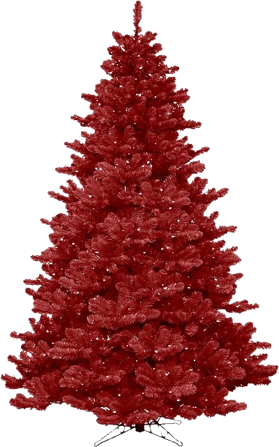Transparent Christmas Day Christmas Tree Christmas Ornament Tree Colorado Spruce for Christmas