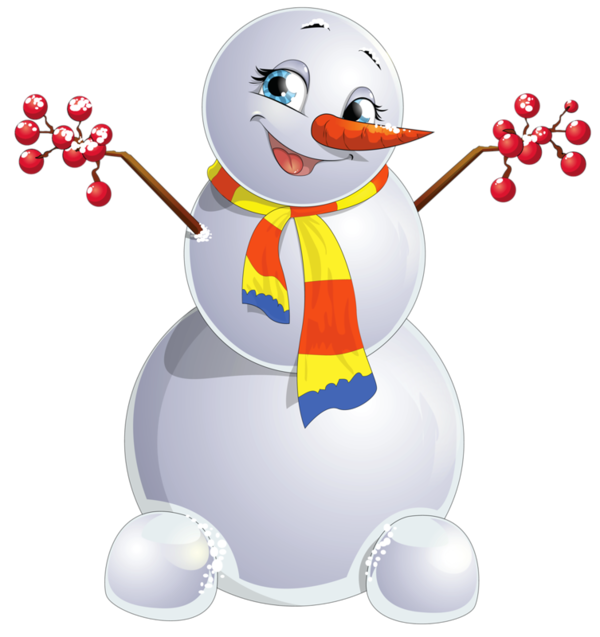 Transparent Snowman Christmas Drawing Flightless Bird for Christmas