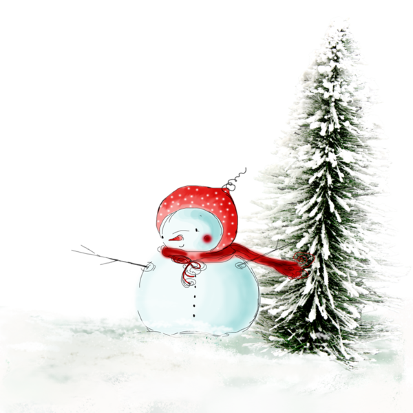 Transparent Snowman Winter Christmas Flightless Bird for Christmas