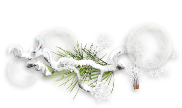 Transparent Christmas Day Clip Art Christmas Christmas Tree White Plant for Christmas