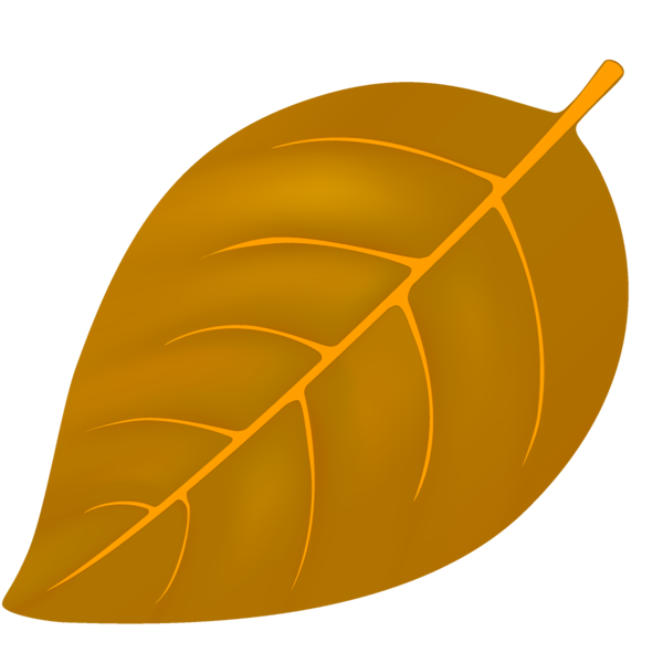 Transparent thanksgiving Leaf Yellow Orange for Fall Leaves for Thanksgiving