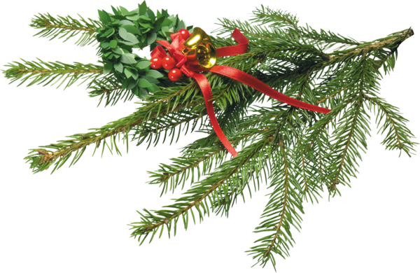 Transparent Animation Christmas Christmas Ornament Fir Pine Family for Christmas