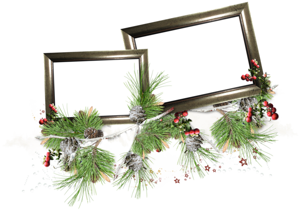Transparent Christmas Scrapbooking New Year Evergreen Pine Family for Christmas