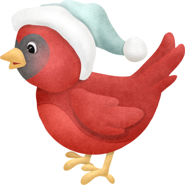 Transparent Christmas Day Christmas Decoration Painting Beak Bird for Christmas