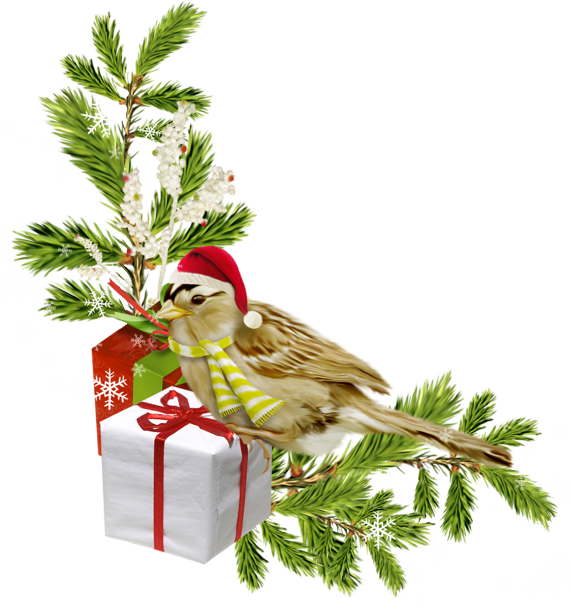 Transparent Christmas Day New Year Christmas Tree Bird Christmas Ornament for Christmas