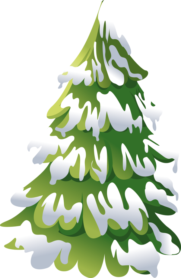 Transparent Snow Winter Pine Fir Pine Family for Christmas