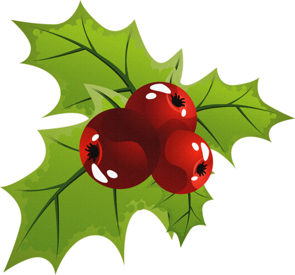 Transparent Christmas Flower Joulukukka Leaf Ladybird for Christmas