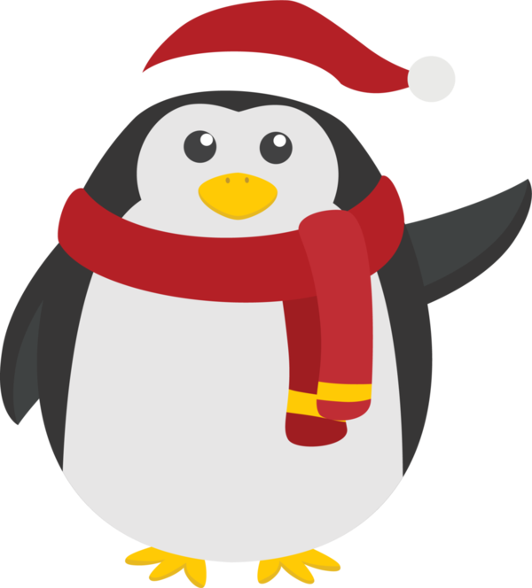 Transparent Penguin Christmas Penguin Christmas Flightless Bird Bird for Christmas