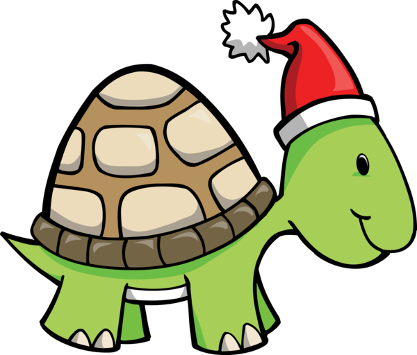Transparent Turtle Christmas Tshirt Reptile for Christmas