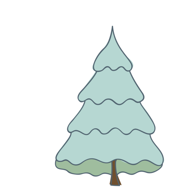 Transparent Fir Christmas Tree Tree Pine Family for Christmas